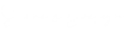 Logo shine en design